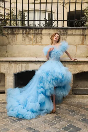 Blue Tulle Dress
