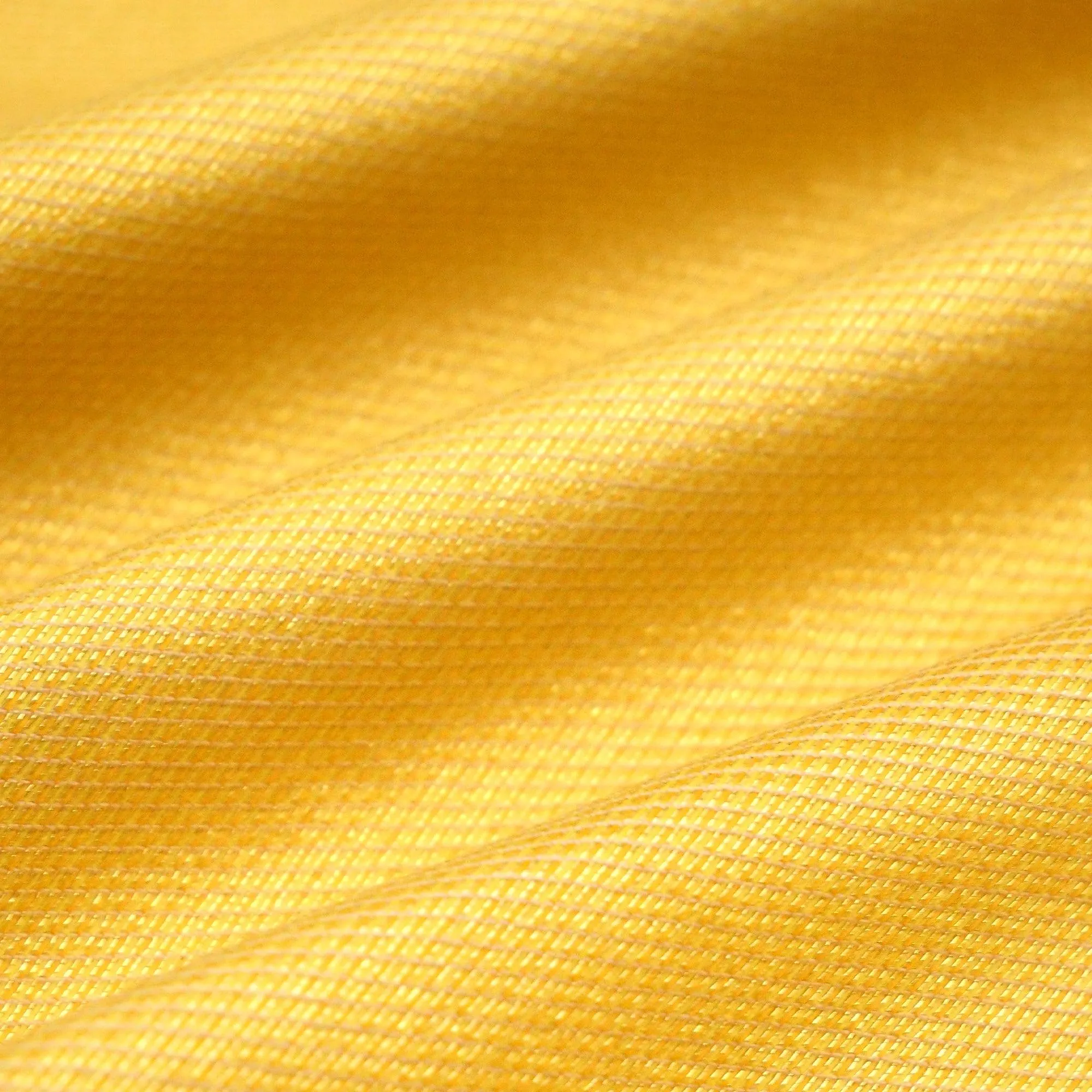 Cotton Cloth of Gold